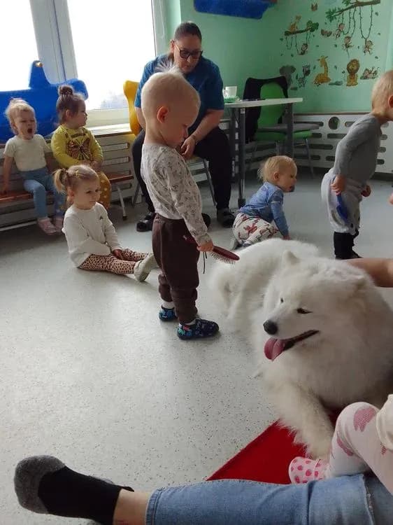 Zdjęcie ze żłobka
