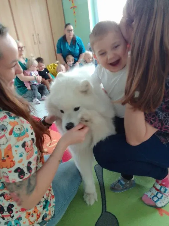 Zdjęcie ze żłobka